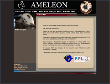 Tablet Screenshot of ameleon.eu